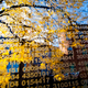 Image for article titled Hunting for Random: The Quest to Find Numbers That Keep Your Data Safe